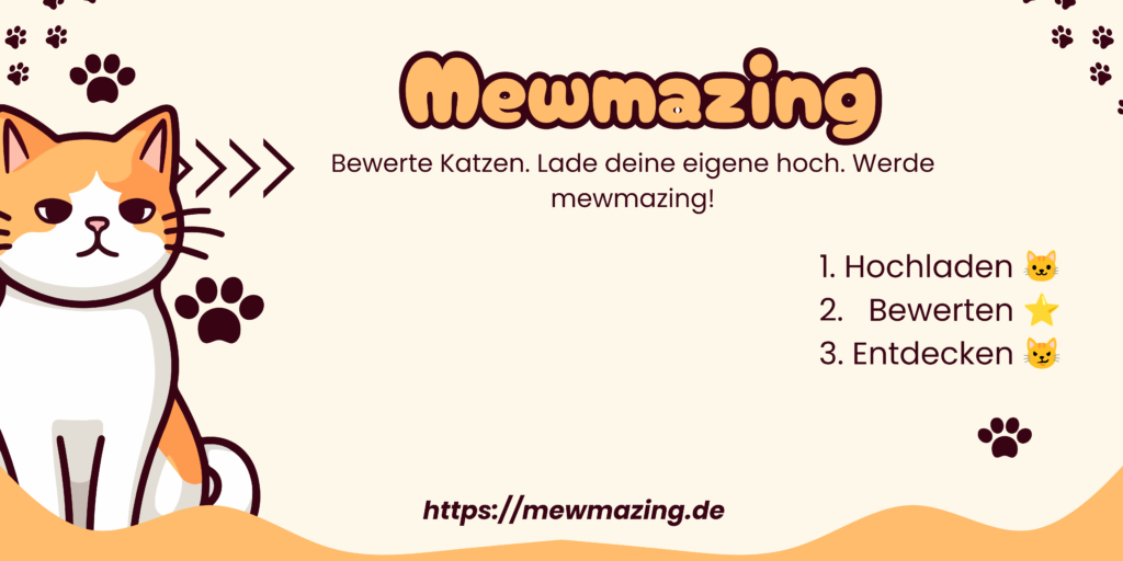 mewmazing 20251206 162728 0000